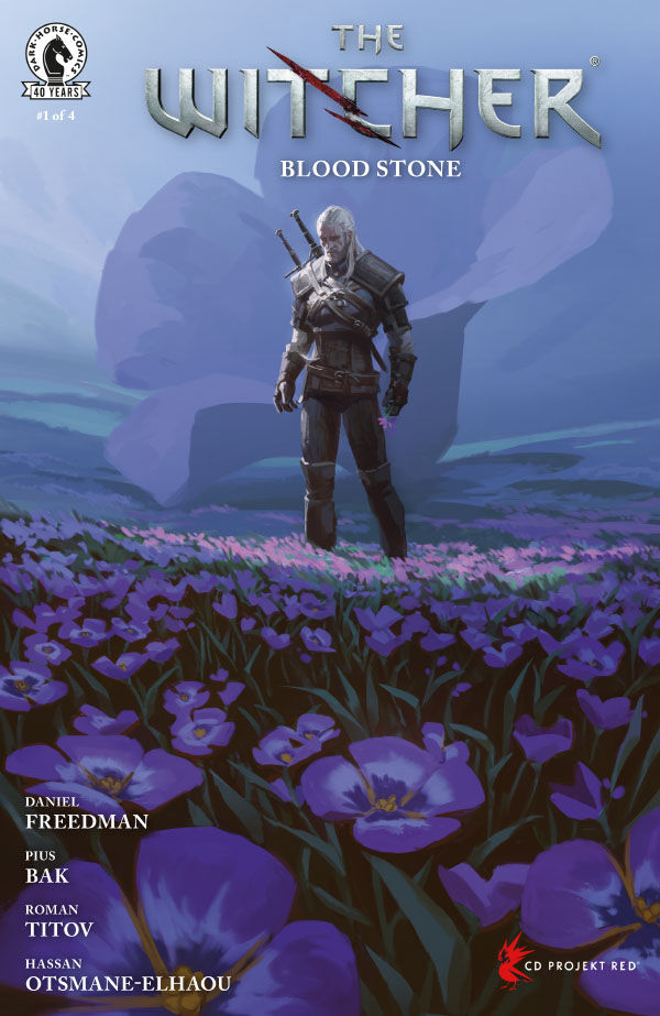 Cover of The Witcher: Blood Stone #1 (Axel Sauerwald Variant Cover), published by Dark Horse