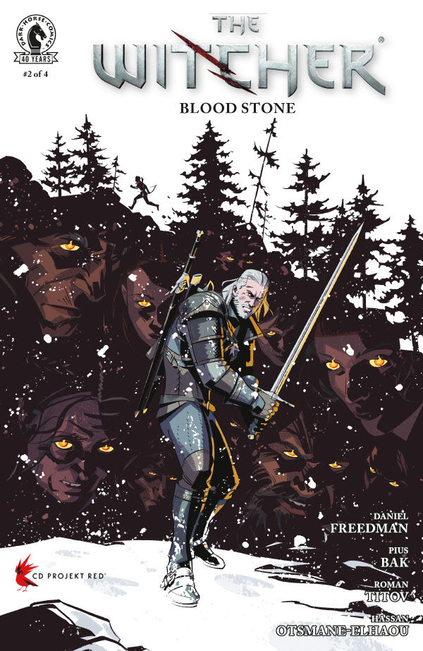 Cover of The Witcher: Blood Stone #2, published by Dark Horse