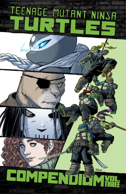 Teenage Mutant Ninja Turtles: Ongoing Compendium, Vol. 3, IDW Publishing product photograph