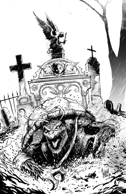 Teenage Mutant Ninja Turtles #23 - NYCC Foil, IDW Publishing product photograph