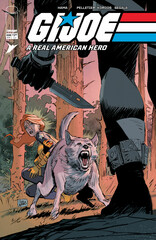 Cover of GI JOE A REAL AMERICAN HERO #330, published by Image