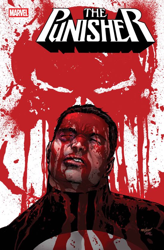 Cover of Punisher #6, published by Marvel