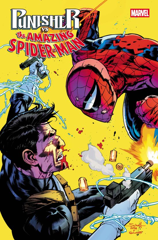 Cover of Punisher Vs. Spider-Man #2, published by Marvel