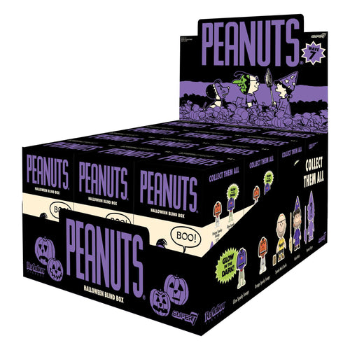 Peanuts Blind Box Wave 07 - Blind Box Flat, Super7 product photograph