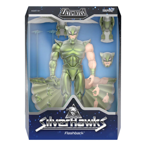 SilverHawks ULTIMATES! Wave 07 - Flashback (Toon), SilverHawks ULTIMATES! action figure, Super7 product photograph