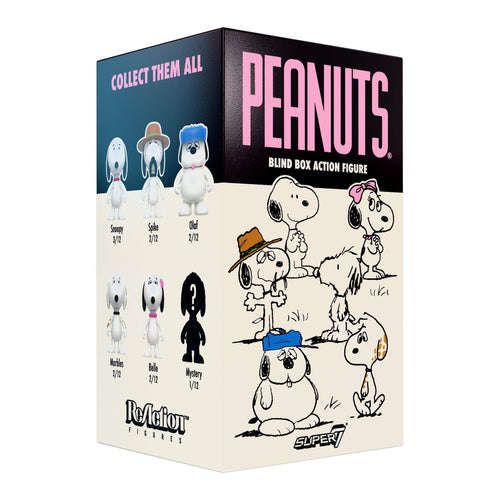 Peanuts Blind Box Wave 10 (Snoopy's Siblings) - Individual Blind Box, Super7 product photograph