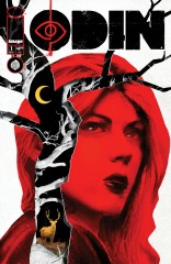 Cover of ODIN #1, published by Image